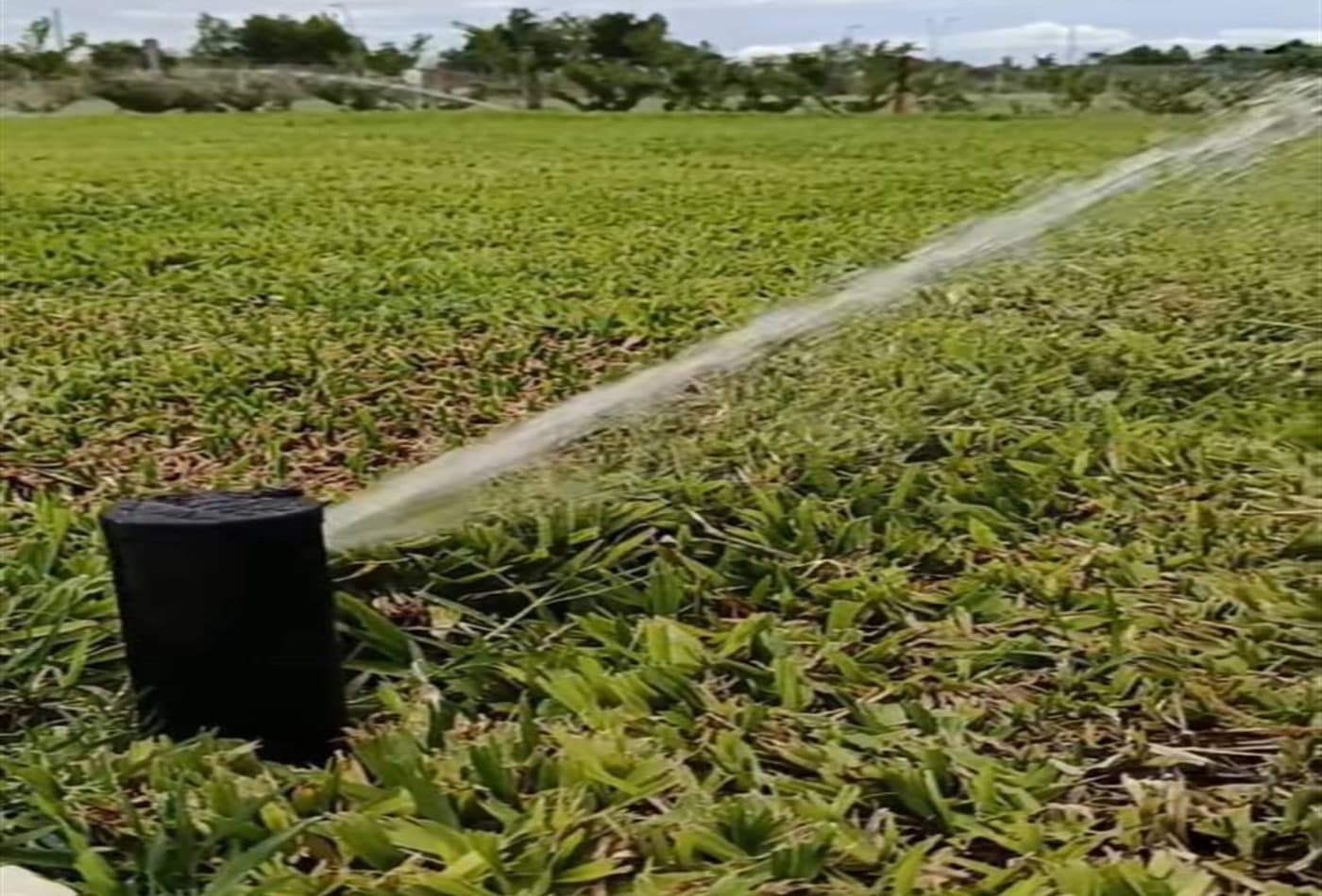mantenimiento invernal de jardín y riego en Mendoza