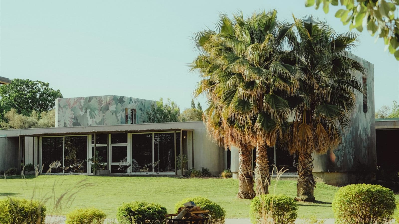 jardín moderno con césped natural, arquitectura contemporánea y paisajismo en Mendoza
