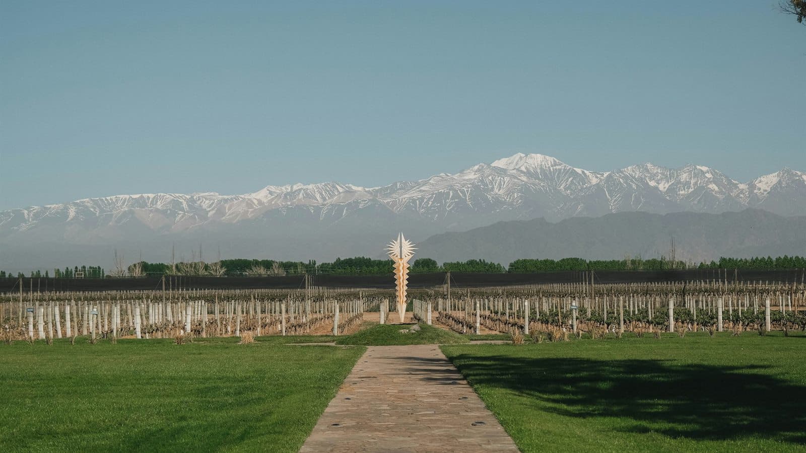 parquización en Mendoza con césped natural, paisaje local y cordillera de fondo