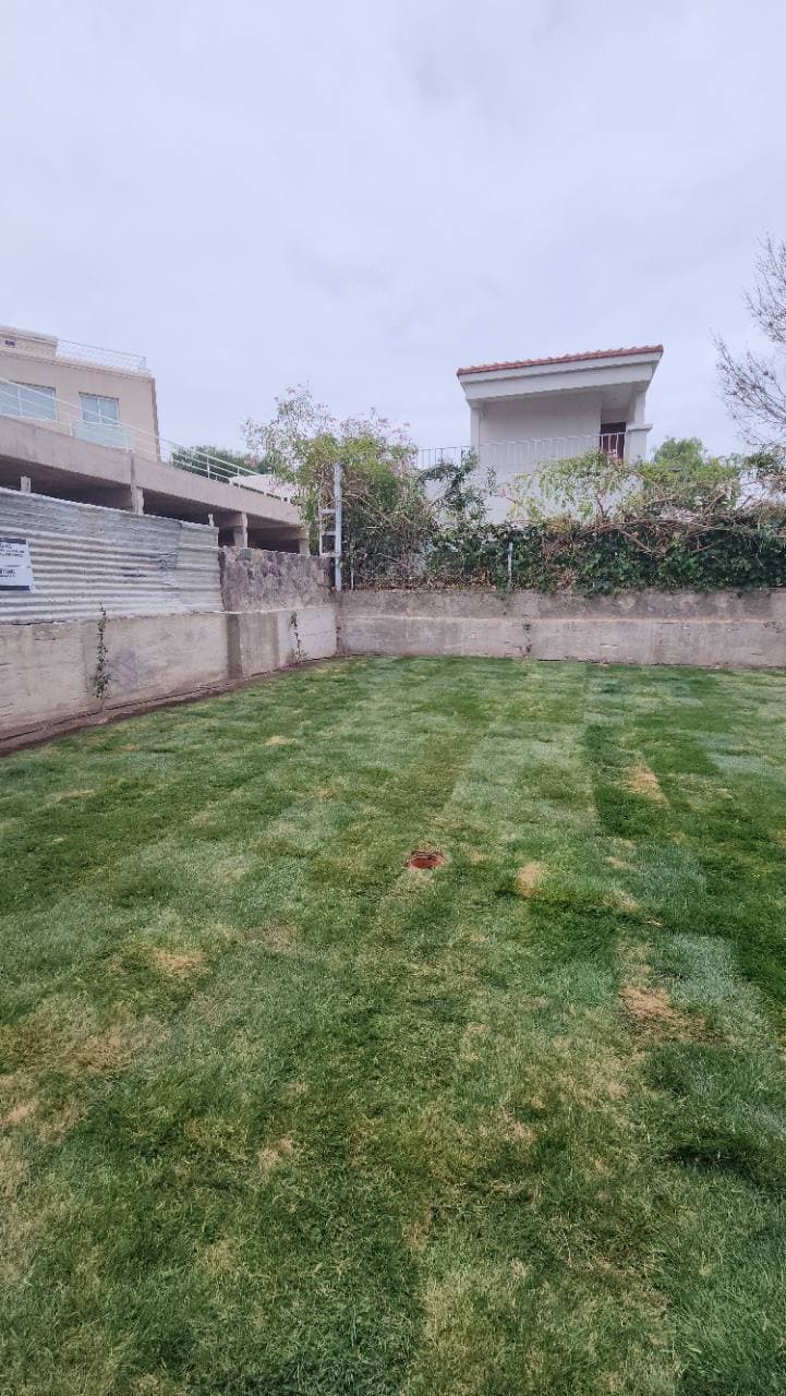 césped natural instalado en patio residencial terminado