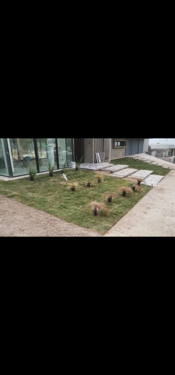 diseño de jardín moderno con césped natural, gramíneas y accesos
