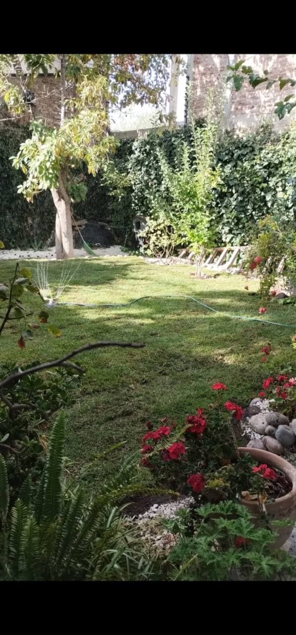 jardín residencial en Mendoza con césped, plantas y riego para cuidados de invierno