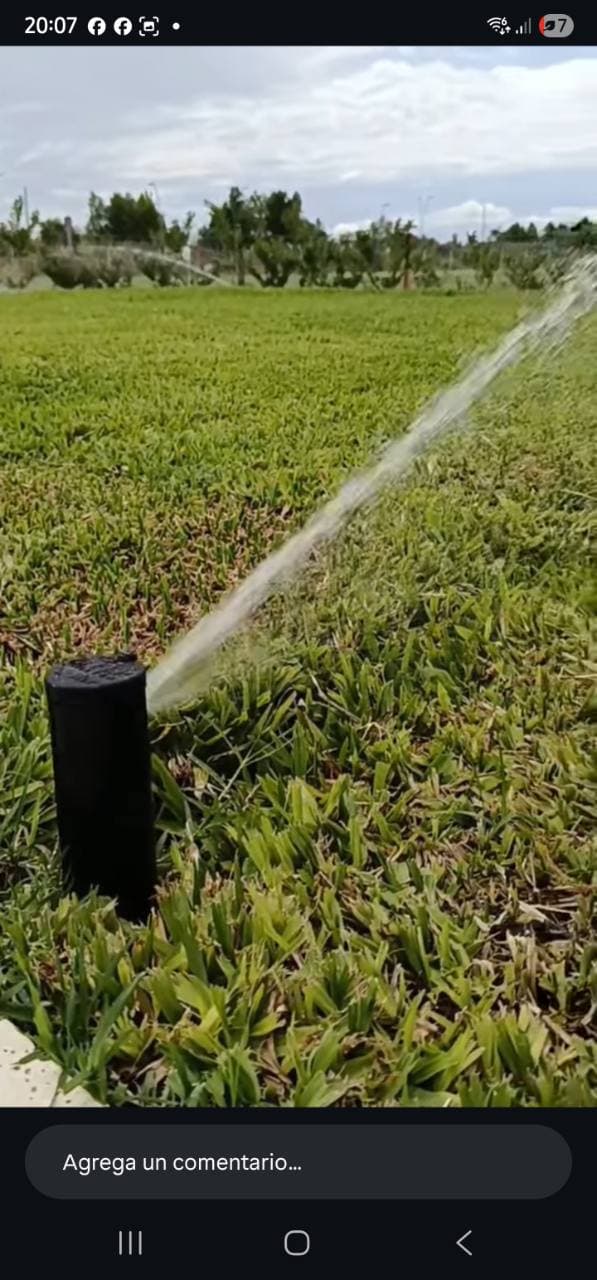 aspersor regando césped natural en un jardín residencial de Mendoza