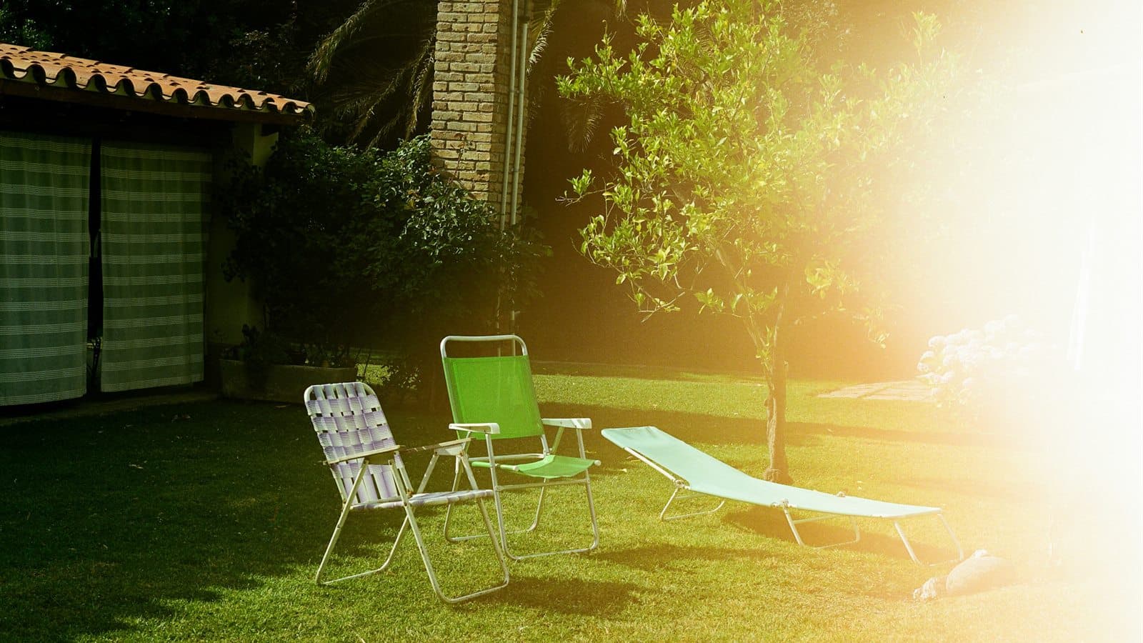 jardín residencial con césped natural, sombra y vegetación madura